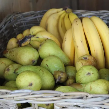 Eickholt Gmbh בית הארחה