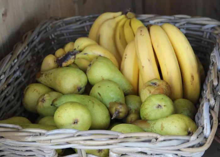 Eickholt Gmbh Πανσιόν